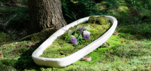 Burials sector innovations - Loop biotech living coffins using mushrooms and mycellium